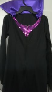 Kids Costumes to Hire - Black dress with Purple Collar - TEEN 
